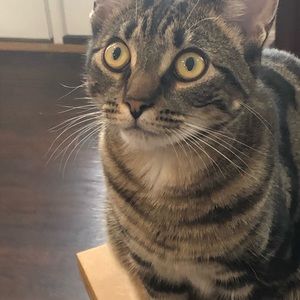 Meet your Posher, Kim